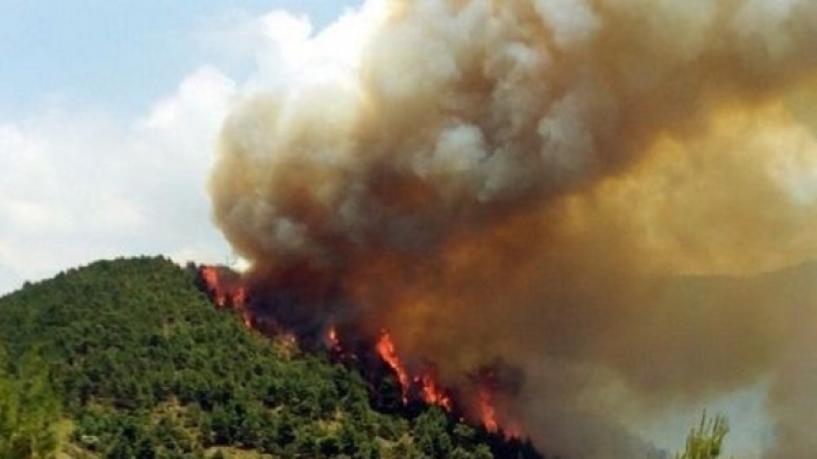 Καλαμάτα: Υπό μερικό έλεγχο η φωτιά στην περιοχή Μιλά Μεσσηνίας  